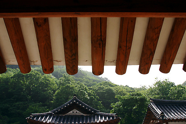 포토 JPG 주간 한국문화 한국전통 전통 시설물 건축물 건축 고건축 한국건축 지붕 한옥 주택 한국 기와집 사람없음 야외 동양건축 과거 처마 국내포토 자연요소 동양문화 아시아 컨셉 건물 파일형식 동양