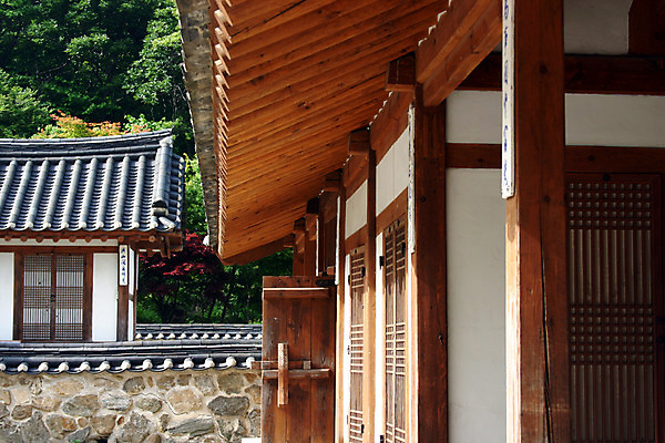 포토 주간 나무 식물 한국문화 한국전통 전통 건축물 건축 전통문화 고건축 한국건축 하늘 지붕 한옥 주택 한국 돌담 기와 기와집 사람없음 야외 건물 담장 동양건축 과거 국내포토 자연요소 동양문화 아시아 문화 컨셉 돌_바위 파일형식 동양