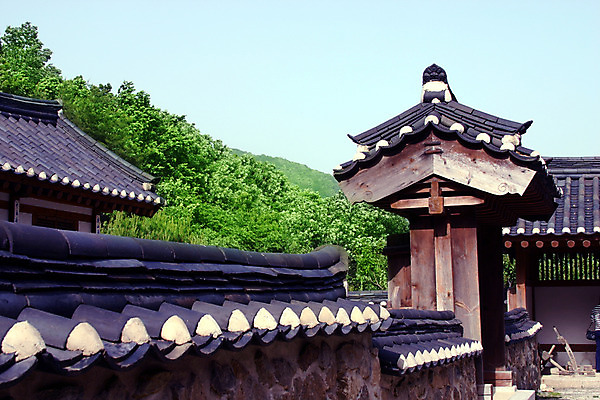 포토 주간 나무 식물 한국문화 한국전통 전통 건축물 건축 전통문화 고건축 한국건축 하늘 지붕 한옥 한국 기와 기와집 풍경 사람없음 야외 건물 담장 동양건축 과거 국내포토 자연요소 동양문화 아시아 문화 컨셉 파일형식 동양