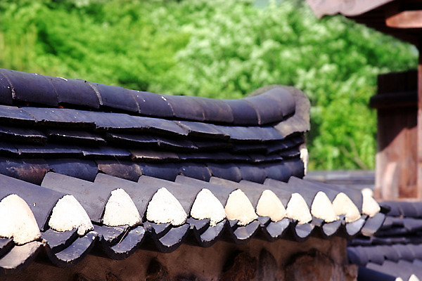 포토 주간 나무 식물 한국문화 한국전통 전통 건축물 건축 전통문화 고건축 한국건축 하늘 지붕 한옥 한국 기와 기와집 풍경 사람없음 야외 건물 담장 동양건축 과거 국내포토 자연요소 동양문화 아시아 문화 컨셉 파일형식 동양