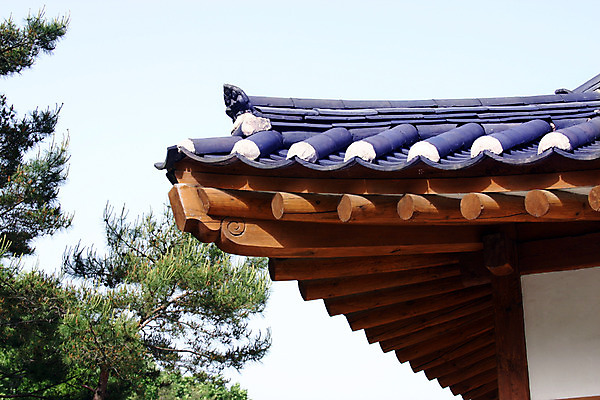 포토 주간 나무 식물 한국문화 한국전통 전통 건축물 건축 전통문화 고건축 한국건축 하늘 지붕 한옥 주택 한국 기와 기와집 사람없음 야외 건물 동양건축 과거 국내포토 자연요소 동양문화 아시아 문화 컨셉 파일형식 동양