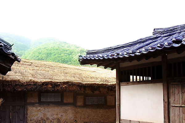 포토 주간 나무 식물 한국문화 한국전통 전통 건축물 건축 전통문화 고건축 한국건축 하늘 지붕 한옥 주택 한국 돌담 초가집 기와 기와집 사람없음 야외 건물 담장 마을 동양건축 과거 국내포토 자연요소 동양문화 아시아 문화 컨셉 돌_바위 파일형식 동양