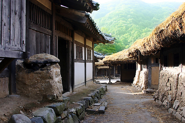 포토 주간 나무 식물 한국문화 한국전통 전통 건축물 건축 전통문화 길 고건축 한국건축 하늘 지붕 한옥 주택 한국 돌담 초가집 기와 기와집 사람없음 야외 건물 담장 마을 동양건축 과거 국내포토 자연요소 동양문화 아시아 문화 컨셉 돌_바위 파일형식 동양