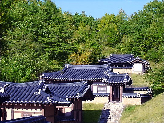 포토 주간 나무 식물 한국문화 한국전통 전통 건축물 건축 전통문화 고건축 한국건축 하늘 지붕 한옥 주택 한국 돌담 기와 기와집 사람없음 야외 건물 담장 계단 동양건축 과거 돌계단 국내포토 자연요소 동양문화 아시아 문화 컨셉 돌_바위 파일형식 동양