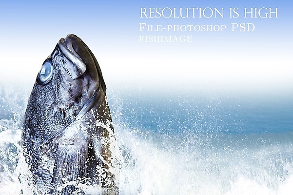 PSD 동물 편집 편집이미지 한마리 음식 바다 식재료 어패류 어류 사람없음 해산물 합성 이미지편집 1 수중동물 파일형식