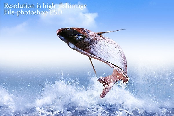 PSD 동물 구름 편집 편집이미지 한마리 음식 바다 식재료 하늘 어패류 어류 사람없음 해산물 합성 망상어 이미지편집 자연요소 1 수중동물 파일형식