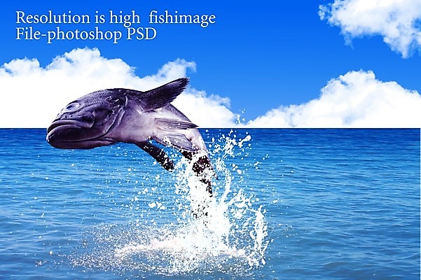 PSD 동물 편집 편집이미지 한마리 음식 바다 식재료 어패류 어류 사람없음 해산물 합성 이미지편집 1 수중동물 파일형식