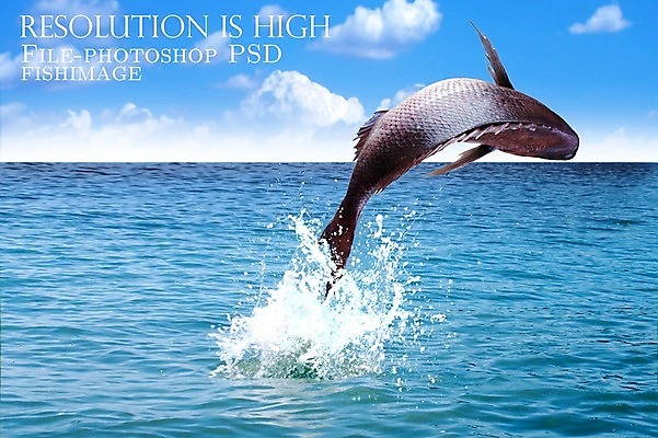 PSD 동물 편집 편집이미지 한마리 음식 바다 식재료 어패류 어류 사람없음 해산물 합성 이미지편집 1 수중동물 파일형식