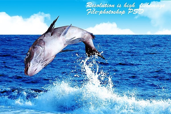 PSD 동물 편집 편집이미지 한마리 음식 바다 식재료 어패류 어류 사람없음 해산물 합성 망상어 이미지편집 1 수중동물 파일형식