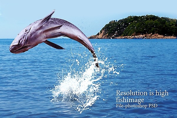 PSD 동물 편집 편집이미지 한마리 음식 바다 식재료 어패류 어류 사람없음 해산물 합성 이미지편집 1 수중동물 파일형식