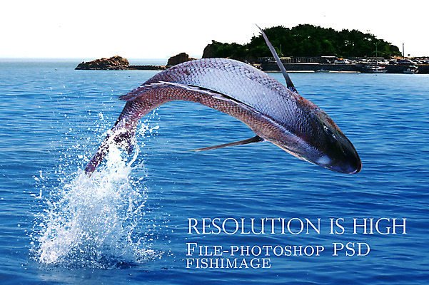 PSD 동물 편집 편집이미지 한마리 음식 바다 섬 식재료 어패류 어류 사람없음 해산물 합성 망상어 이미지편집 1 수중동물 파일형식