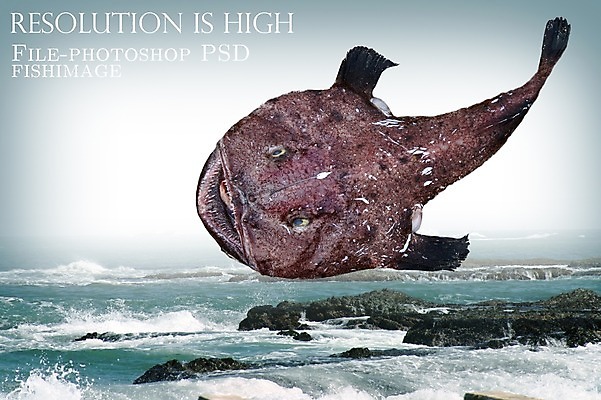 PSD 편집 편집이미지 한마리 음식 파도 바다 식재료 어패류 어류 사람없음 돌_바위 바위 해산물 합성 망둥어 이미지편집 동물 1 수중동물 파일형식