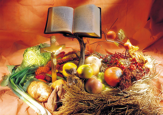 JPG 편집이미지 열매 기독교 종교 음식 십자가 토마토 채소 과일 종교용품 호박 양파 기독교용품 마늘 감 사람없음 장식 성경 무 오브젝트 배추 고구마 보리 대파 편집실사 식물 곡류 뿌리채소 CG 파 파일형식