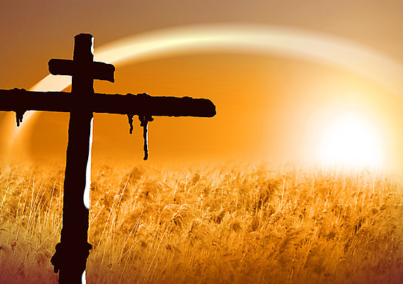 PSD 편집 편집이미지 기독교 종교 십자가 갈대 사람없음 빛 태양 갈대밭 이미지편집 자연요소 식물 파일형식 갈대_식물