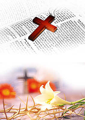 PSD 식물 편집 편집이미지 영어 꽃 기독교 종교 십자가 목걸이 종교용품 기독교용품 사람없음 성경 가시 백합 오브젝트 가시면류관 이미지편집 문자 장신구 파일형식