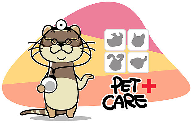 EPS 동물 캐릭터 한마리 알파벳 동물캐릭터 일러스트 홍보캐릭터 청진기 애니멀프린트 사람없음 의사 페럿 펫케어 일러캐릭터 1 영어 포유류 의료기기 관리 의료진 파일형식 벡터