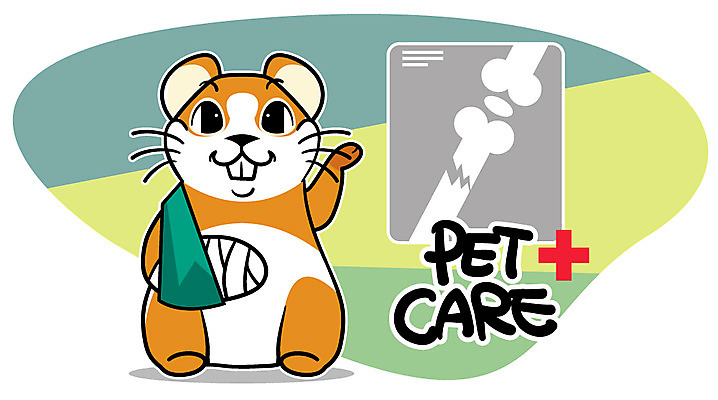 EPS 동물 캐릭터 한마리 알파벳 동물캐릭터 일러스트 홍보캐릭터 엑스레이 애니멀프린트 미소 웃음 사람없음 반려동물 붕대 햄스터 깁스 펫케어 일러캐릭터 1 영어 의학 표정 관리 의료용품 설치류 파일형식 벡터