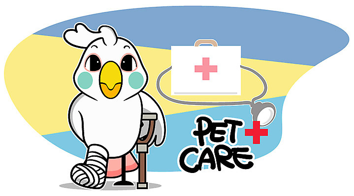 EPS 동물 캐릭터 한마리 알파벳 동물캐릭터 일러스트 홍보캐릭터 애니멀프린트 사람없음 구급상자 앵무새 붕대 목발 깁스 펫케어 일러캐릭터 1 영어 의료기기 조류 관리 의료용품 파일형식 벡터