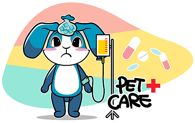 EPS 동물 캐릭터 한마리 알파벳 동물캐릭터 일러스트 홍보캐릭터 애니멀프린트 사람없음 반려동물 알약 약 토끼 링거 토끼캐릭터 얼음주머니 펫케어 일러캐릭터 1 영어 포유류 의학 의료기기 관리 주머니 파일형식 벡터