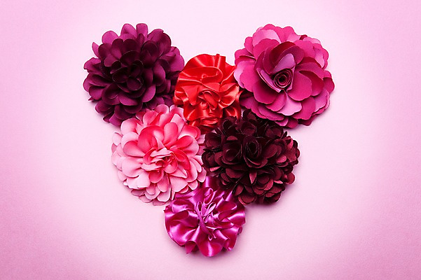 포토 JPG 스튜디오촬영 식물 꽃 백그라운드 사람없음 장식 빨간색 하트 오브젝트 국내포토 모양 컬러 실내 파일형식