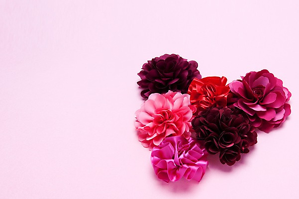 포토 JPG 스튜디오촬영 식물 꽃 백그라운드 사람없음 장식 빨간색 하트 오브젝트 국내포토 모양 컬러 실내 파일형식