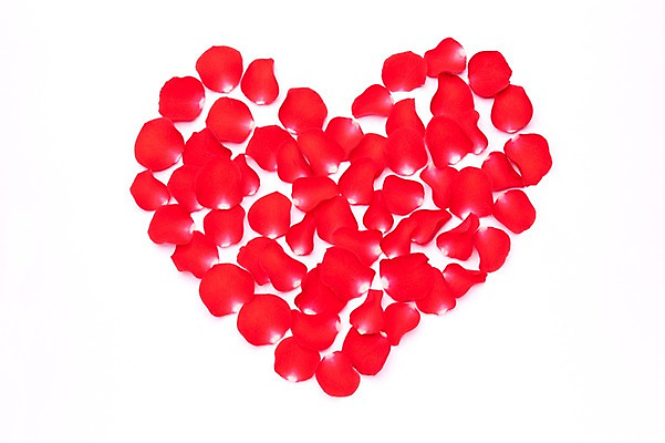 포토 JPG 스튜디오촬영 꽃잎 꽃 백그라운드 누끼 사람없음 장식 빨간색 하트 오브젝트 국내포토 모양 식물 컬러 실내 파일형식