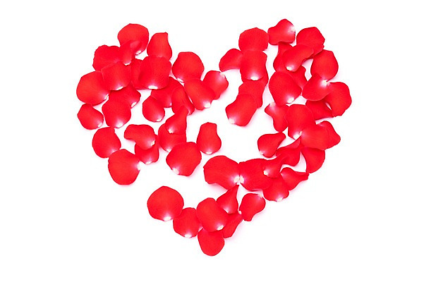 포토 JPG 스튜디오촬영 꽃잎 꽃 백그라운드 누끼 사람없음 장식 빨간색 하트 오브젝트 국내포토 모양 식물 컬러 실내 파일형식