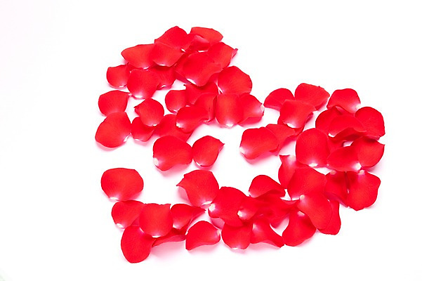 포토 JPG 스튜디오촬영 꽃잎 꽃 백그라운드 누끼 사람없음 장식 빨간색 하트 오브젝트 국내포토 모양 식물 컬러 실내 파일형식