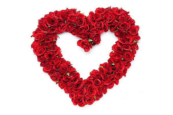 포토 JPG 스튜디오촬영 식물 꽃 백그라운드 누끼 사람없음 장식 빨간색 장미 화환 하트 오브젝트 국내포토 모양 컬러 실내 파일형식