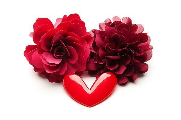 포토 JPG 스튜디오촬영 식물 꽃 백그라운드 누끼 사람없음 빨간색 장미 하트 오브젝트 국내포토 모양 컬러 실내 파일형식