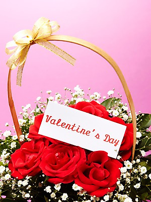 포토 JPG 스튜디오촬영 기념일 음식 디저트 실내 발렌타인데이 선물 사랑 이벤트 사람없음 장미 초콜릿 달콤 꽃바구니 안개꽃 국내포토 카드프레임 꽃 감정 데이이벤트 프레임 내부 바구니 맛 한해살이풀 파일형식