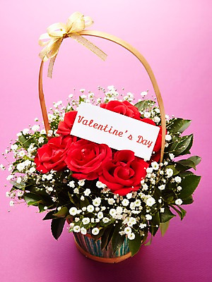 포토 JPG 스튜디오촬영 기념일 음식 디저트 실내 발렌타인데이 선물 사랑 이벤트 사람없음 장미 초콜릿 달콤 꽃바구니 안개꽃 국내포토 카드프레임 꽃 감정 데이이벤트 프레임 내부 바구니 맛 한해살이풀 파일형식