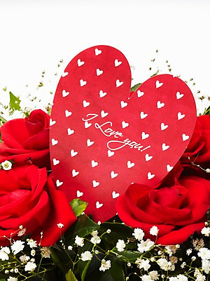 포토 JPG 스튜디오촬영 기념일 음식 꽃다발 디저트 실내 발렌타인데이 선물 사랑 이벤트 사람없음 빨간색 장미 초콜릿 하트 달콤 안개꽃 국내포토 카드프레임 모양 꽃 감정 컬러 데이이벤트 프레임 내부 맛 한해살이풀 파일형식