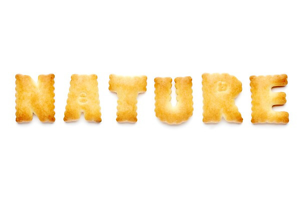 포토 JPG 스튜디오촬영 문자 알파벳 영어 음식 자연 대문자 디저트 실내 누끼 사람없음 단어 쿠키 과자 빵집 네이처 국내포토 내부 상점 생태계 파일형식