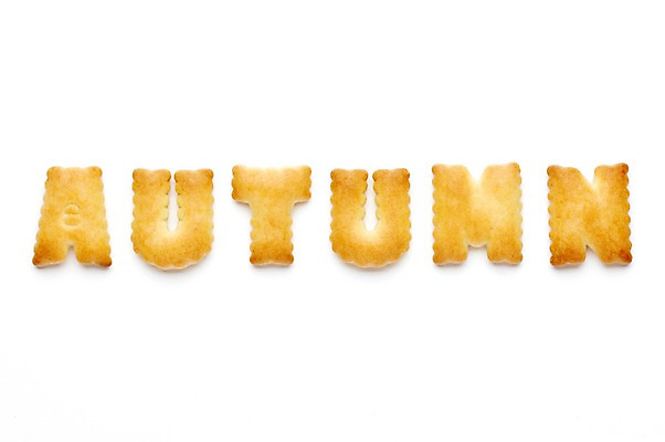 포토 JPG 스튜디오촬영 문자 알파벳 영어 사계절 계절 음식 자연 대문자 디저트 실내 누끼 사람없음 단어 쿠키 과자 빵집 가을 오텀 국내포토 내부 상점 생태계 파일형식