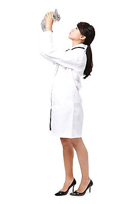 포토 JPG 스튜디오촬영 전신 동물 직업 한마리 학생 라이프스타일 여자 교육 대학생 포즈 청진기 의료기기 대학생라이프 실내 한명 서기 웃음 들기 누끼 사람 동양인 20대 성인 옆모습 치료 캠퍼스라이프 진료 한국인 의사 토끼 관찰 의료용품 가운 의사가운 실험복 열정 수의사 의대생 반려 여자만 여자한명만 성인여자만 청년만 청년여자만 성인한명만 청년여자한명만 성인여자한명만 성인만 국내포토 1 옷 감정 뷰포인트 포유류 의학 모션 표정 인종 청년 내부 생활 반려동물 의료진 파일형식