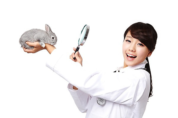 포토 JPG 스튜디오촬영 동물 직업 한마리 학생 라이프스타일 여자 교육 대학생 포즈 청진기 의료기기 돋보기 대학생라이프 실내 한명 서기 웃음 들기 누끼 사람 동양인 20대 성인 치료 캠퍼스라이프 진료 한국인 의사 토끼 관찰 의료용품 가운 의사가운 실험복 열정 수의사 의대생 반려 여자만 여자한명만 성인여자만 청년만 청년여자만 성인한명만 청년여자한명만 성인여자한명만 성인만 국내포토 1 옷 감정 포유류 의학 모션 표정 인종 청년 내부 생활 반려동물 의료진 파일형식