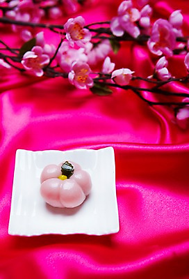 포토 JPG 스튜디오촬영 접시 명절 꽃 한식 음식 분홍색 디저트 떡 한국 실내 사람없음 장식 전통음식 나뭇가지 꽃바람떡 국내포토 나무 식물 전통 식기 기념일 아시아 컬러 내부 파일형식