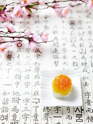 포토 JPG 스튜디오촬영 접시 명절 한식 음식 디저트 떡 한국 실내 한글 사람없음 전통음식 꽃떡 국내포토 문자 전통 식기 기념일 아시아 내부 파일형식