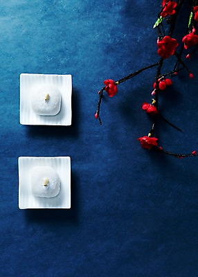 포토 JPG 스튜디오촬영 접시 명절 꽃 한식 음식 디저트 떡 한국 실내 사람없음 장식 전통음식 흰색 나뭇가지 찹쌀떡 국내포토 나무 식물 전통 식기 기념일 아시아 컬러 내부 파일형식