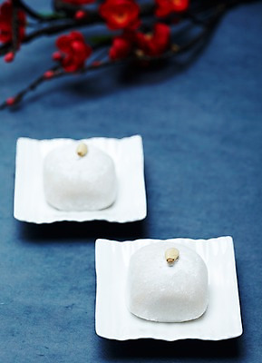 포토 JPG 스튜디오촬영 접시 명절 꽃 한식 음식 디저트 떡 한국 실내 사람없음 장식 전통음식 흰색 나뭇가지 찹쌀떡 국내포토 나무 식물 전통 식기 기념일 아시아 컬러 내부 파일형식