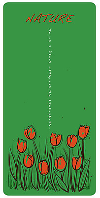 EPS 꽃 백그라운드 일러스트 자연 사람없음 빨간색 튤립 국내일러스트 식물 컬러 생태계 파일형식 벡터