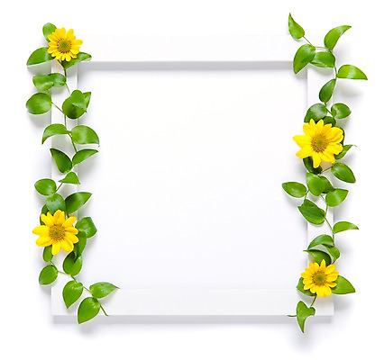 포토 JPG 식물 꽃 벽 액자 백그라운드 실내 틀 사람없음 노란색 소국 국내포토 컬러 내부 파일형식