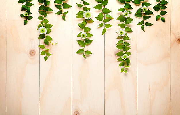 포토 JPG 나무 벽 백그라운드 실내 사람없음 목재 담쟁이덩굴 덩굴 아이비 국내포토 식물 재료 내부 파일형식