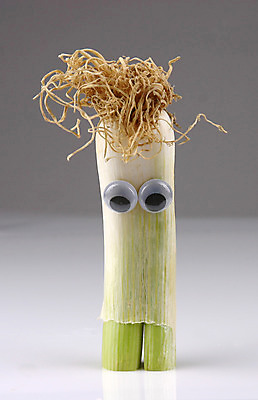 포토 JPG 스튜디오촬영 음식 컨셉 채소 식재료 실내 의인화 사람없음 초록색 농작물 한개 파 파뿌리 국내포토 1 컬러 농업 내부 뿌리 파일형식