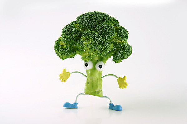 포토 JPG 스튜디오촬영 음식 컨셉 채소 식재료 실내 의인화 사람없음 초록색 농작물 한개 브로콜리 국내포토 1 컬러 농업 내부 파일형식