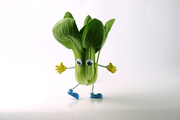 포토 JPG 스튜디오촬영 음식 컨셉 채소 식재료 실내 의인화 사람없음 초록색 농작물 한개 청경채 국내포토 1 컬러 농업 내부 파일형식