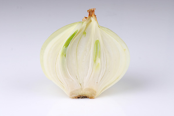 포토 JPG 스튜디오촬영 음식 채소 식재료 양파 단면 실내 사람없음 농작물 한개 흰색 슬라이스 국내포토 1 컬러 농업 내부 파일형식