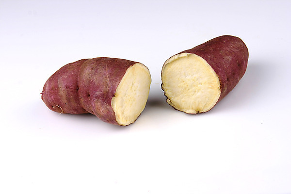 포토 JPG 스튜디오촬영 음식 채소 식재료 단면 뿌리채소 실내 사람없음 농작물 두개 자주색 슬라이스 고구마 국내포토 컬러 2 농업 내부 파일형식