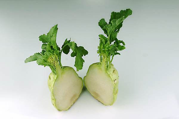 포토 JPG 스튜디오촬영 음식 잎 채소 식재료 단면 실내 사람없음 초록색 농작물 두개 무 슬라이스 무청 국내포토 식물 컬러 2 농업 뿌리채소 내부 파일형식